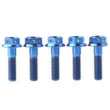 High Quality Anti-corrosion M14  Gr4.8 Gr8.8  Blue Colorful Titanium Hex Flange Head Bolts